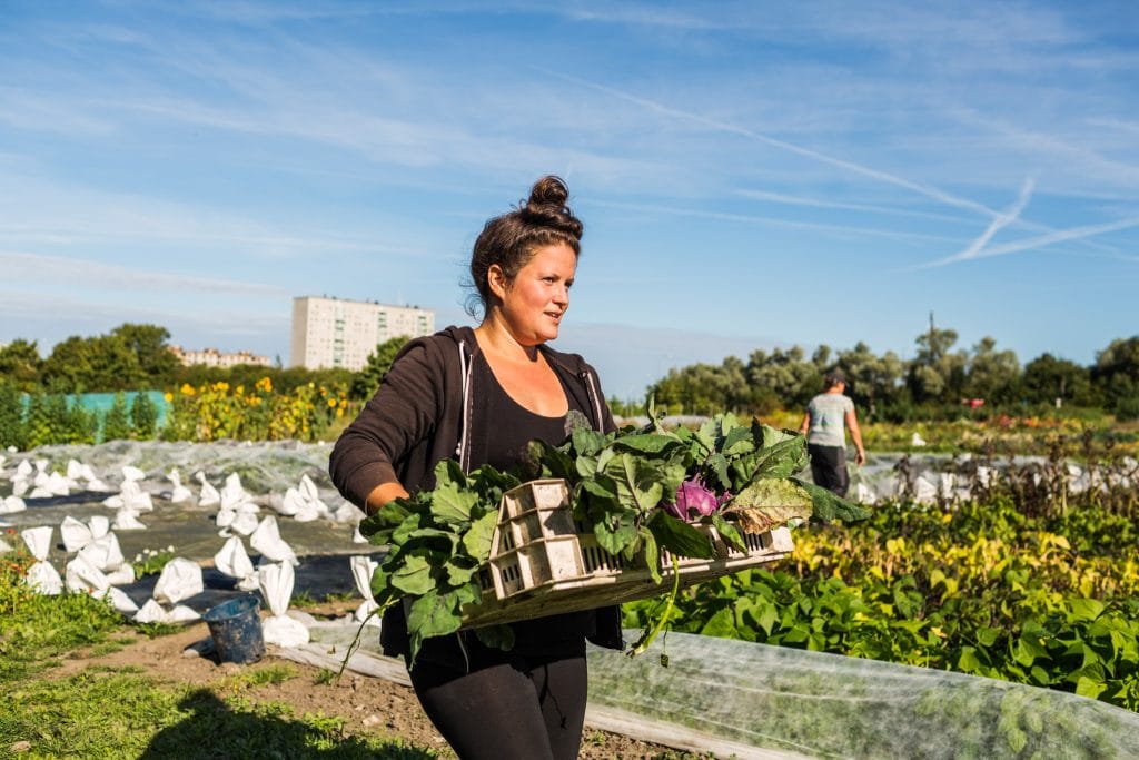 Agricultural Worker Accomodation